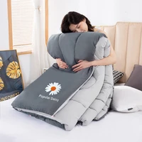 home textile bedding duvet high quality autumn and winter warm comforter blanket student adults quilting quilts velvet duvet