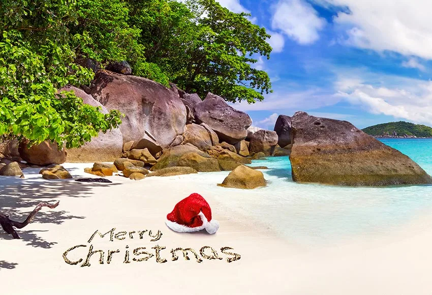 

Island scenic photographer backgrounds vinyl fotografia seaside Christmas backdrops for photo studio props photophone lv-2564