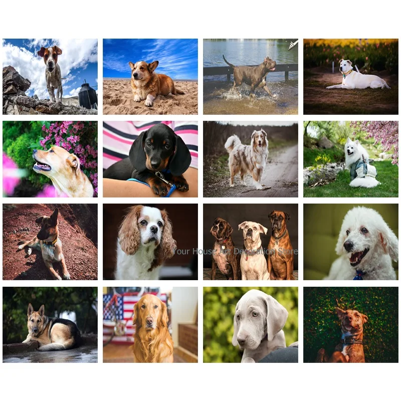 

5D Diy Handmadel Diamond Painting Animal Sticker Embroidery Cute Dogs Art Picture of Rhinestones Home Decor