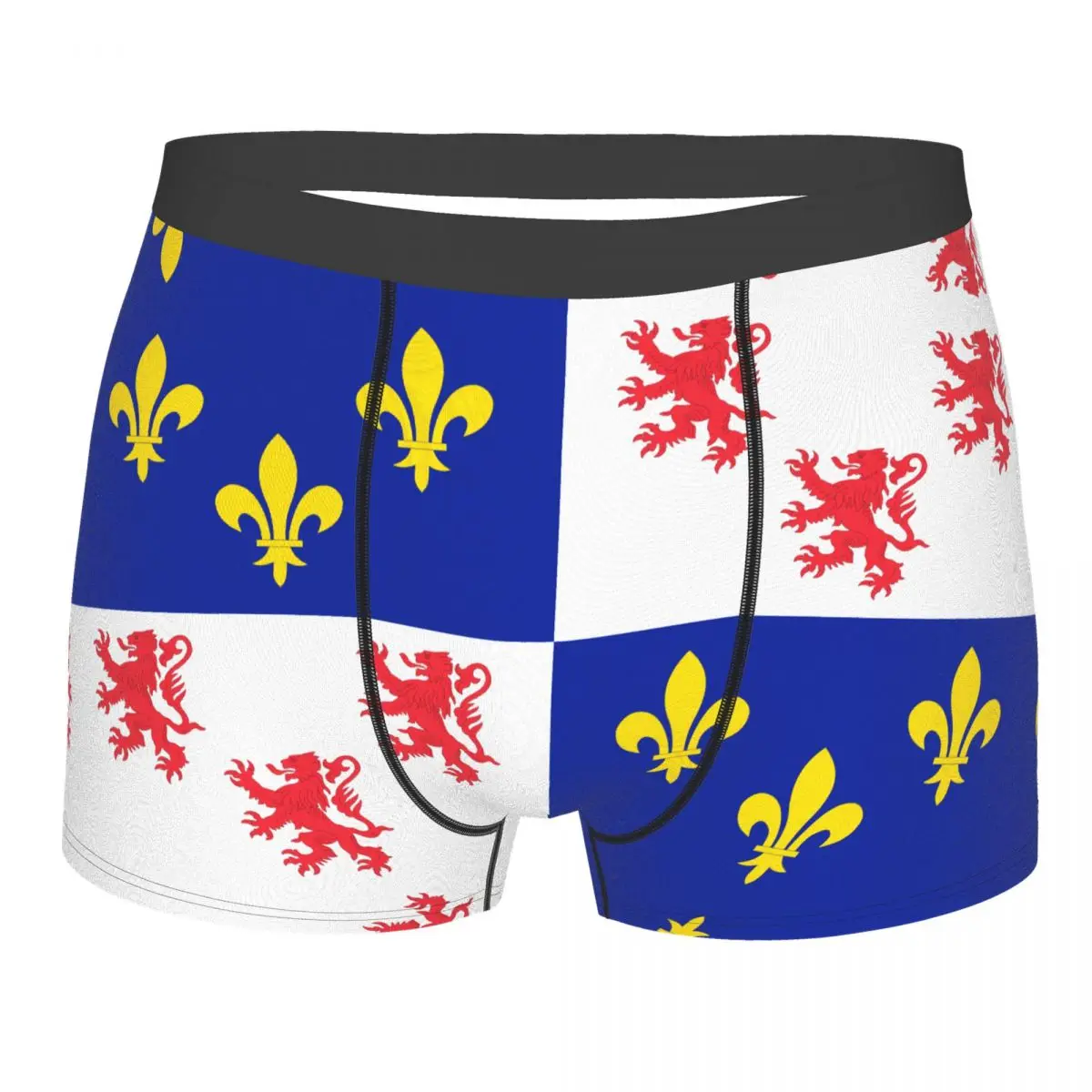 

Flag Of Picardie Men's Boxer Briefs Flags of the regions of France Nerd elastic pants for men