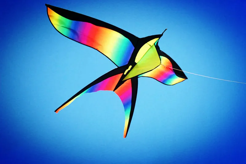 Цветной цветной воздушный змей красивый Радужный легкое управление Летающий