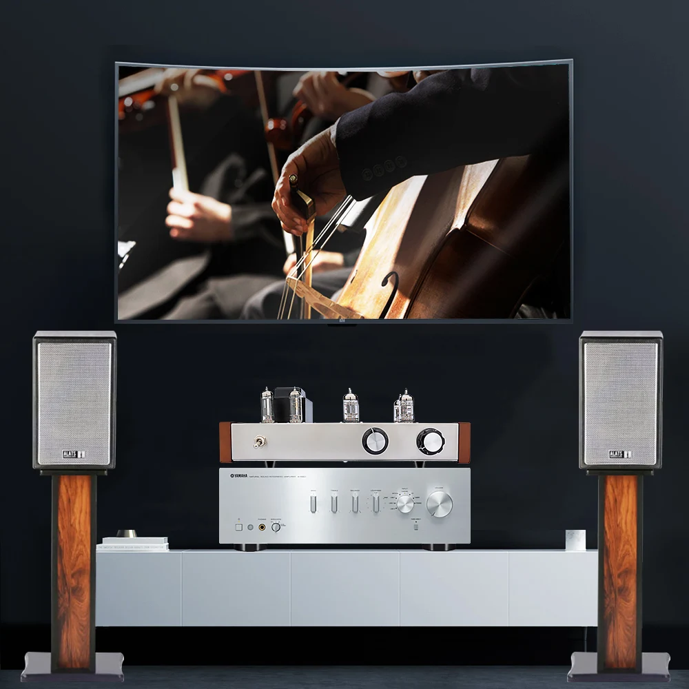 AIYIMA 12AX7 12AU7 вакуумный трубчатый предусилитель HiFi аудио усилитель стерео звук для