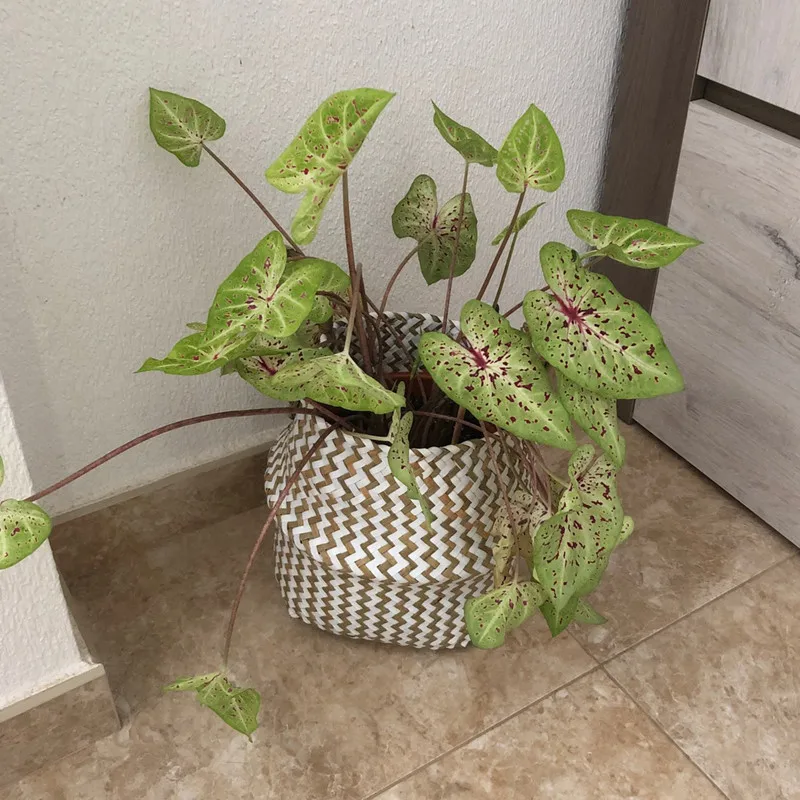 Boho Decor Panier Linge Striped Wicker Storage Baskets Handmade Collapsible Basket Straw Patchwork Rieten Mand Osier | Дом и сад