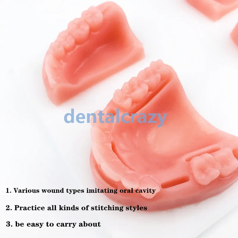 4 шт./компл. стоматологический пероральный/десен учебный модуль силиконовая