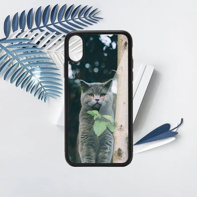 

Webbedepp British Shorthair cat Phone Case PC for iPhone 11 12 pro XS MAX 8 7 6 6S Plus X 5S SE 2020 XR