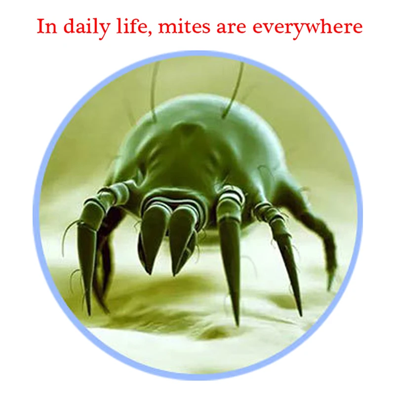 Пылевых клещей убить чехол натуральный травяной убийца уничтожения коврик для