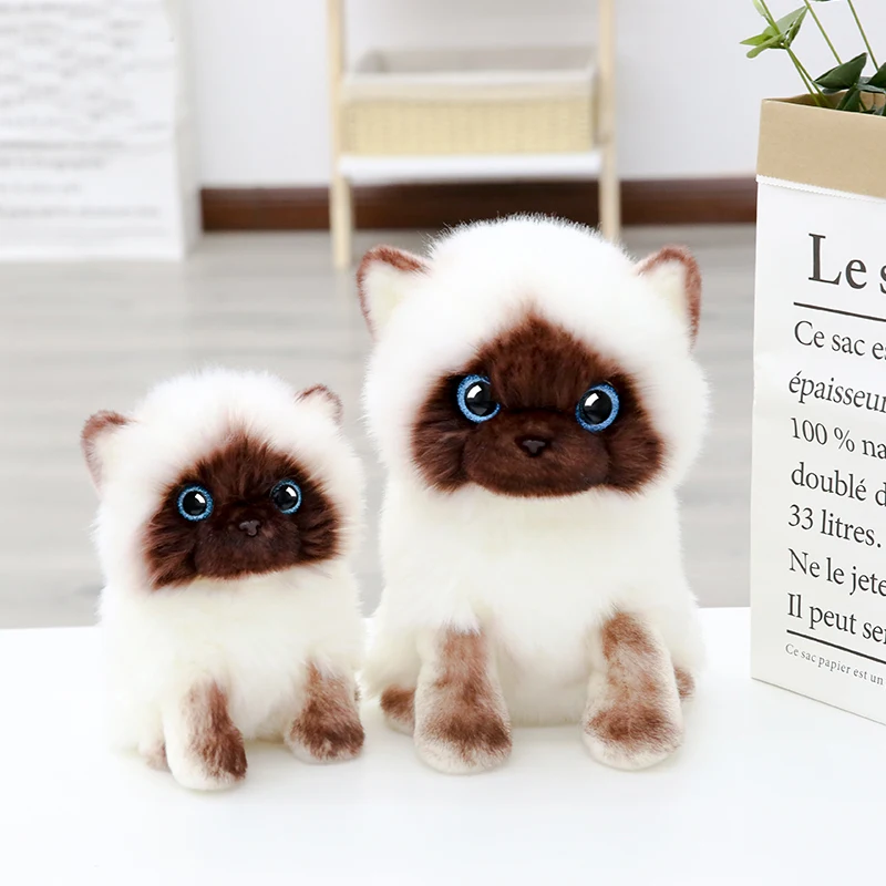 

20CM Simulation Siamese Cat Plush Toy Blue Sequins Eyes Dolls Brown and White Face Ragdoll Cats Home Decor Cute Gift for Baby