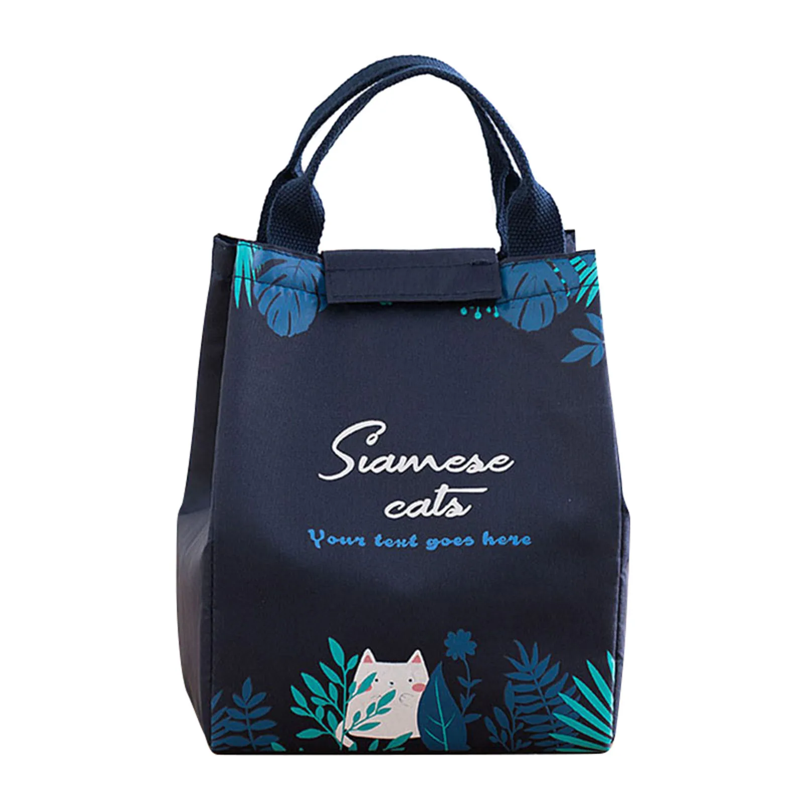 

Portable Durable Tote Lunch Bag Insulated Soft Bag Waterpoor for Outdoors Camping School Office Student 15*18*24cm-B5