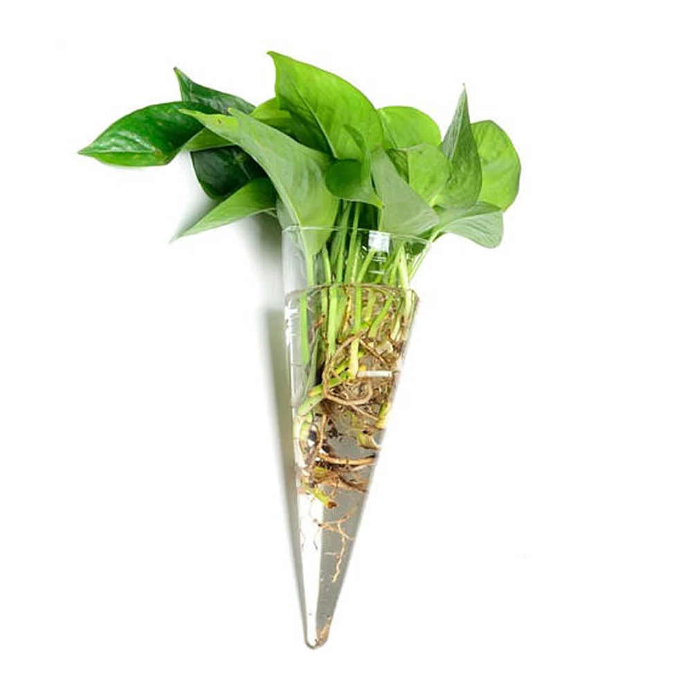 Новая прозрачная стеклянная настенная ваза настенный подвесной растительный