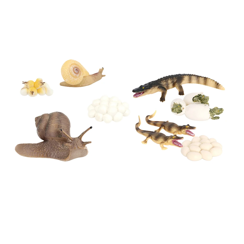 Juego de simulaci&oacute;n de animales para ni&ntilde;os, 2 juegos, figura de cocodrilo, Caracol, proceso de crecimiento-5