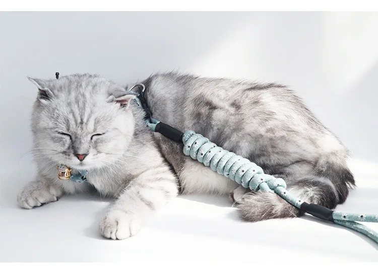 Ошейник для кошек YY50CC простой регулируемый эластичный безопасный | Дом и сад