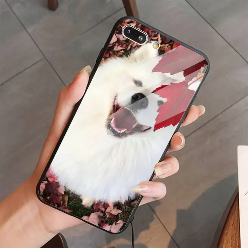 

lovely Samoyed dog Hard Phone Case Tempered glass For iphone 5C 6 6S 7 8 plus X XS XR 11 PRO MAX