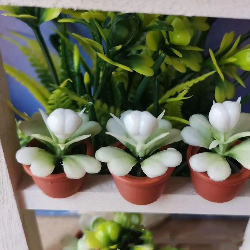 

Montessori Miniature Simulation Small Potted Plant Shoot Nie Props DIY Children Model House Scene Toys Furniture