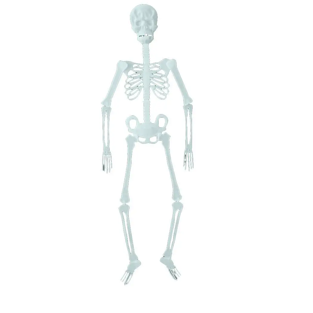 Декорации для Хэллоуина реквизит флуоресцентный Скелет белый|Украшения своими