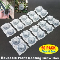 50pcs plant root balls clear grafting rooting growing reusable box plant root device high pressure propagation balls for plant