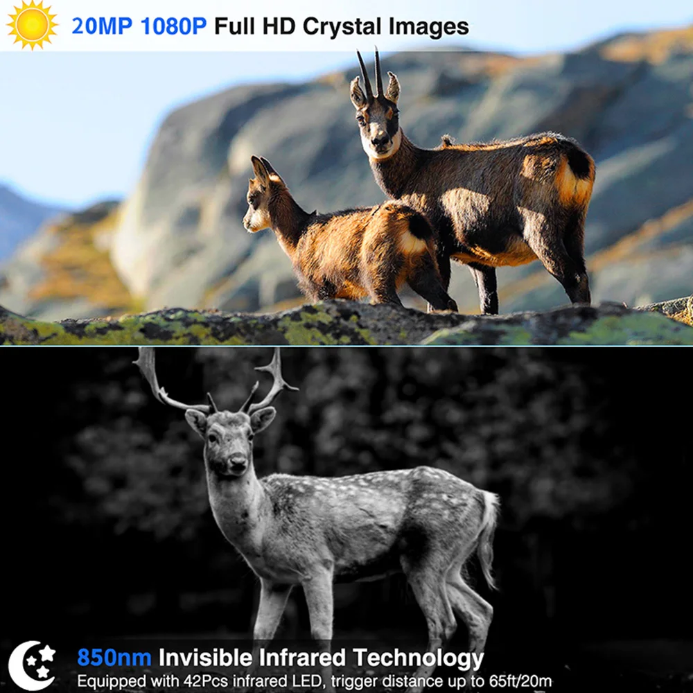 

H882 Hunting Trail Camera 1080P 5MP Wild Life Camcorder Infrared Night Vision Waterproof Camera HD Scouting Camera Outdoor Acces