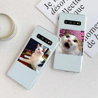 cute animal cat art design phone case transparent for samsung galaxy a s 7 8 11 21 50 30 81 51 90 5g 20 e ultra m60s