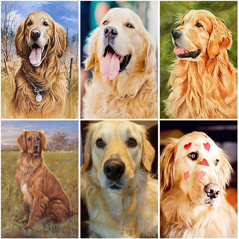 

5D DIY Diamond Painting Dog Full Square/Round Drill Golden Retriever Animals Diamond Embroidery Cross Stitch Home Decor Gift