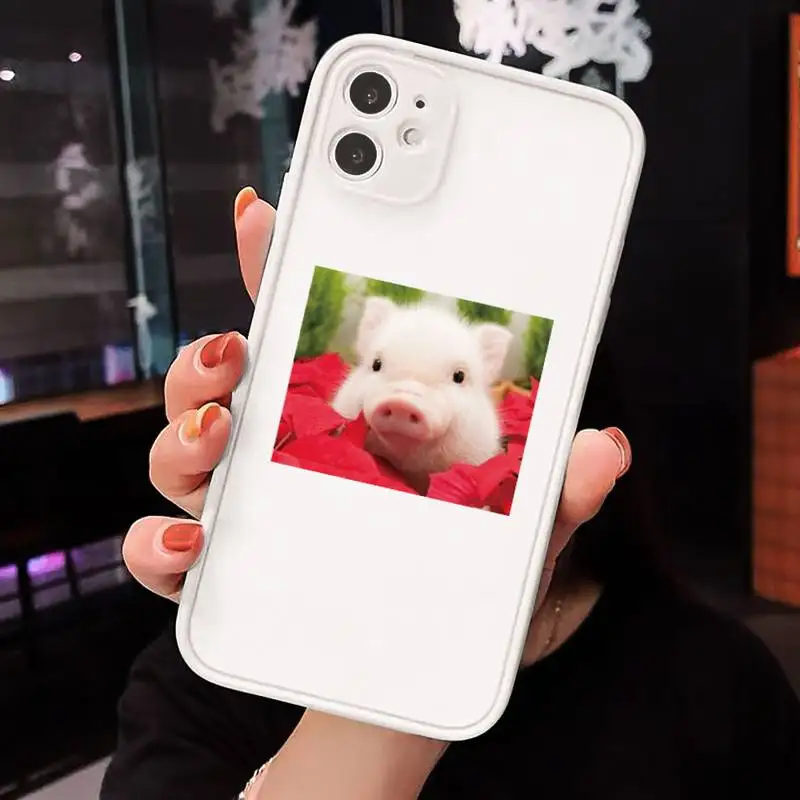 

animal cute small pig Phone Cases Matte Transparent for iPhone 7 8 11 12 s mini pro X XS XR MAX Plus cover funda