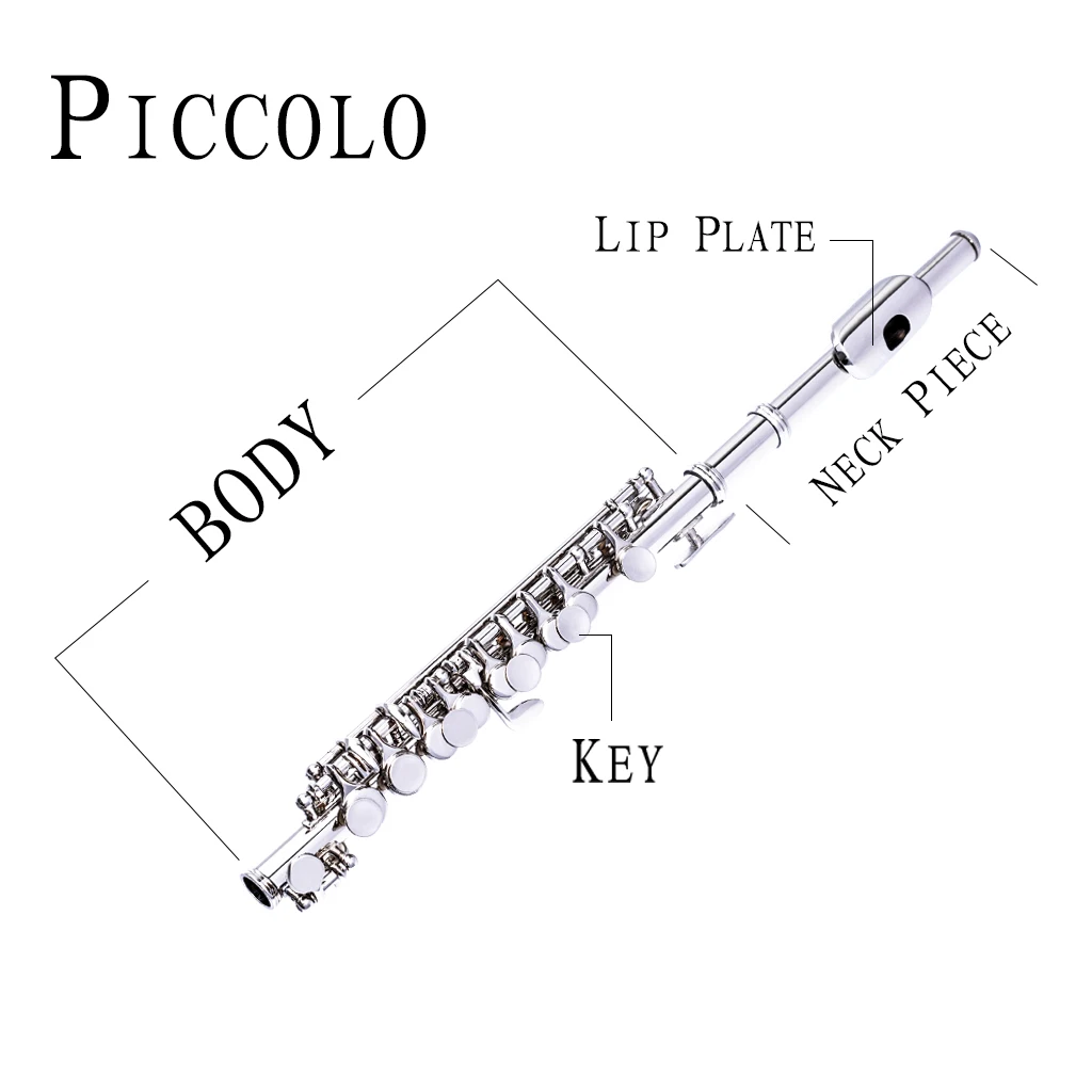 Excellent Nickel Plated C Key Piccolo Silver Color W/ Case Cleaning Rod And Cloth And Gloves Cupronickel Piccolo Set enlarge