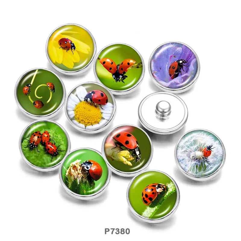 

ladybug Cabochon DIY Bracelet button jewelry glass Snap DIY Bracelet CP7380