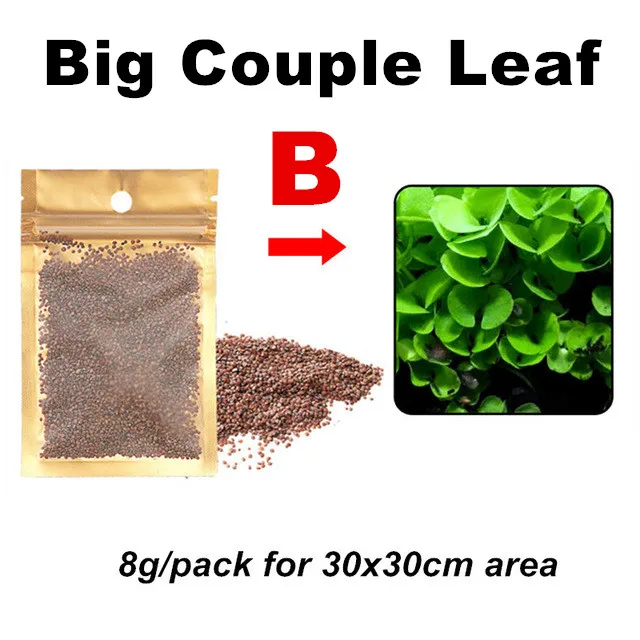 Big Leaf 6 стилей водяное растение для аквариума семена живой гемиантус каллитрихоиды Eleocharis аквариум трава газонный ковер украшение аквариума - Цвет: Big Leaf