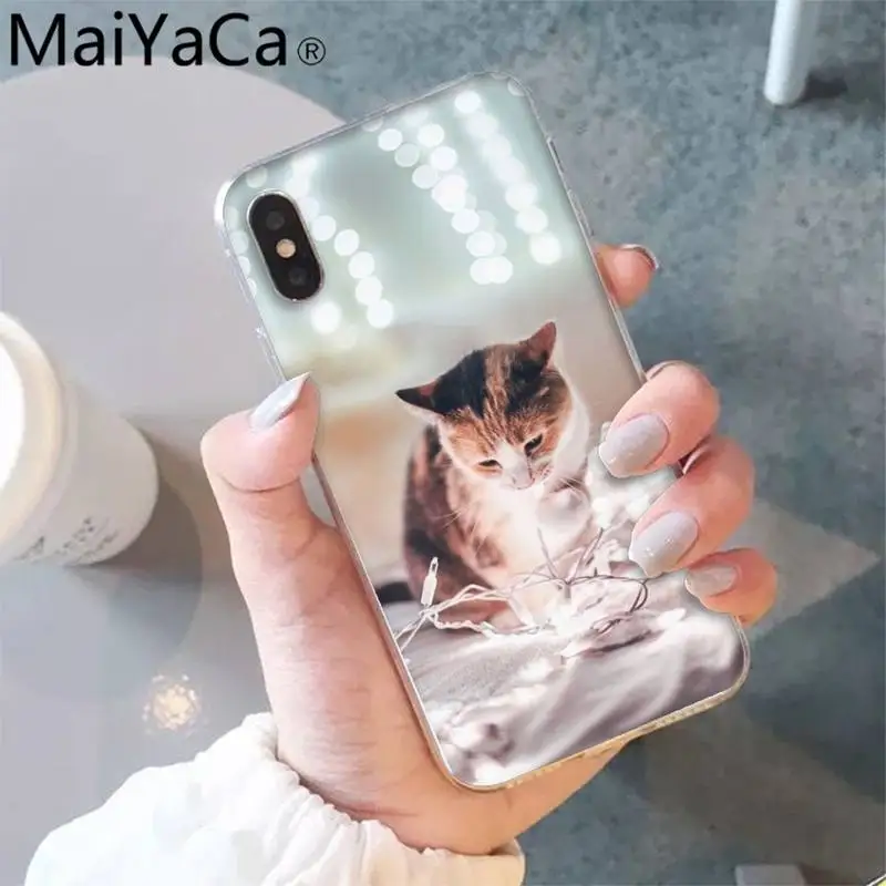 

MaiYaCa cat lovely cute animal Luxury Unique Phone Cover for iPhone 12 8 7 6 6S Plus X XS MAX 5 5S SE XR 12 11 pro promax