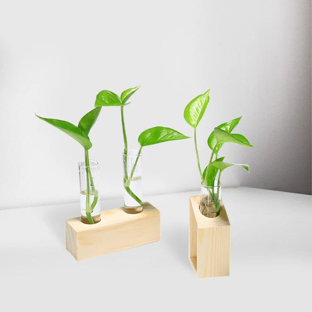 Гидропоника цветочный горшок украшения пробирка вазы настольные растения
