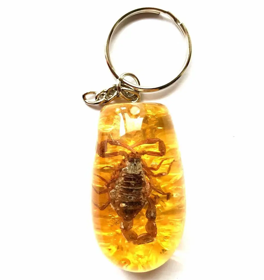 20 pcs big size fashion real four leaf clover keychain Collecting Hot Drifting bottle mixed insect jewelry
