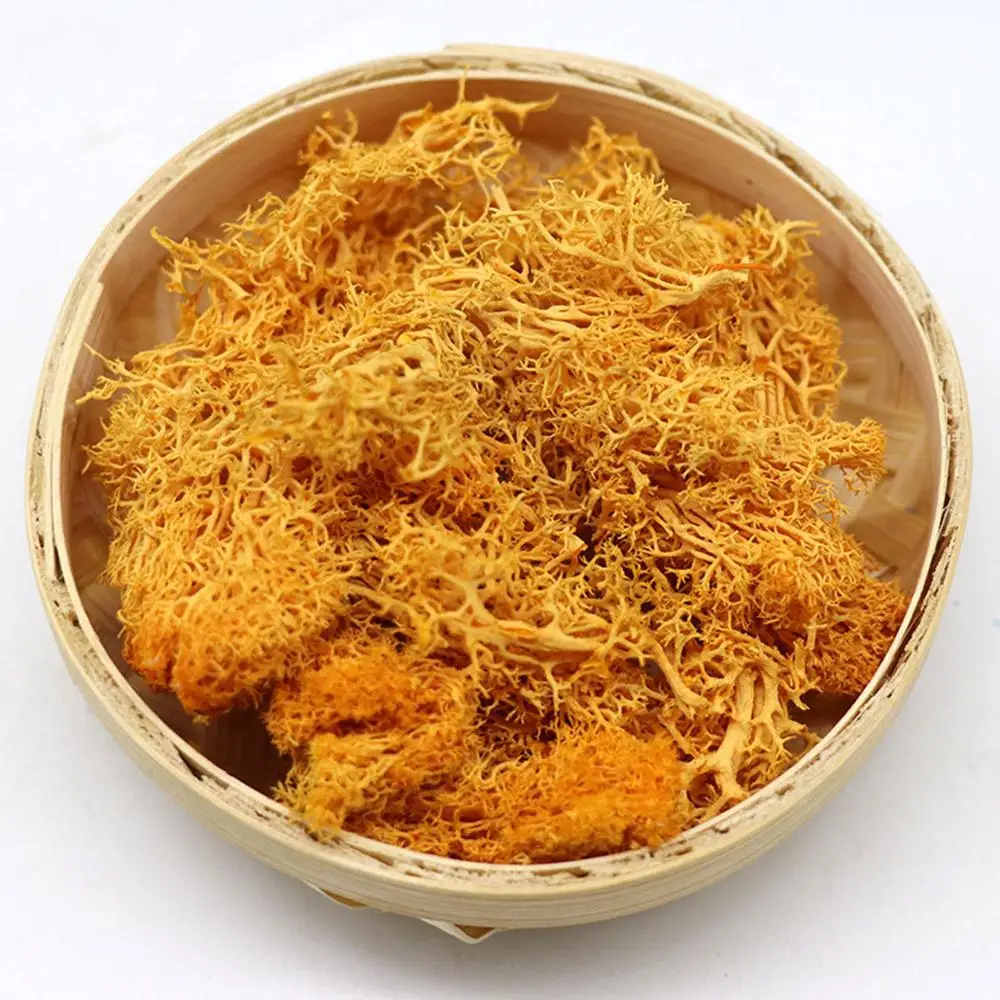 1 упаковка искусственных растений мох для вечной жизни Декор украшение дома и