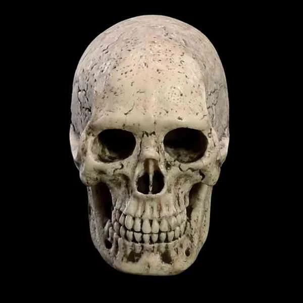 

In Stock 1/6 Scale Skull Model Fit 12inch Male Action Figure Doll Soldier Accessories