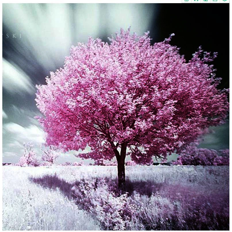 5d пейзаж Алмазная мозаика Вишневое дерево алмазное искусство живопись горный