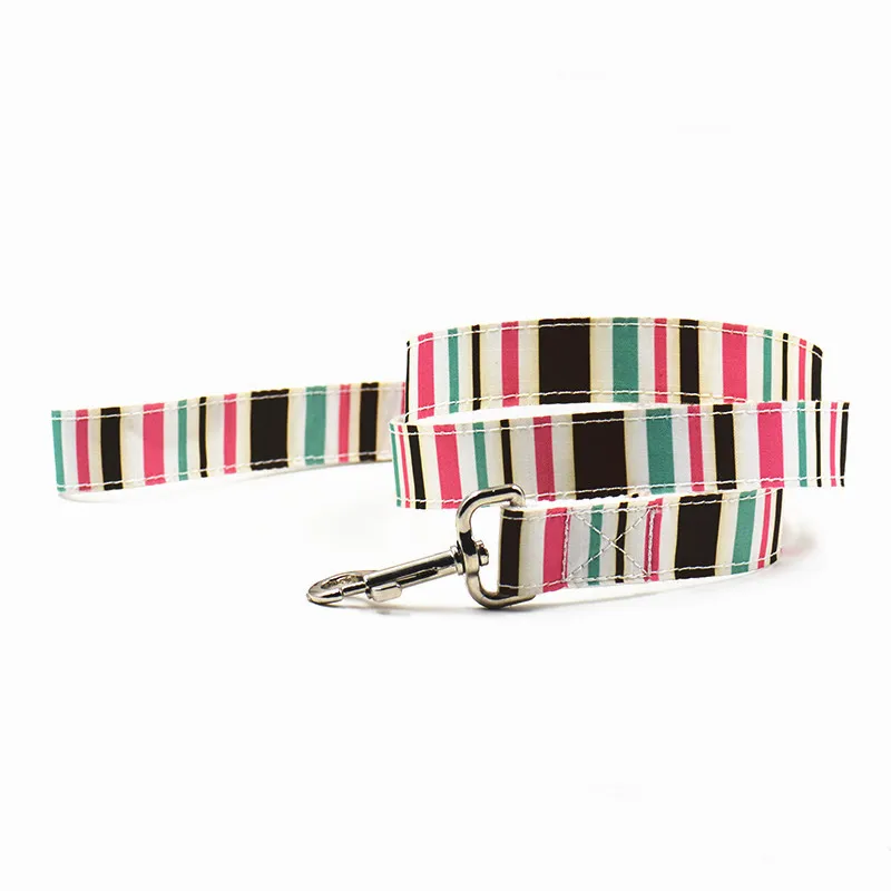 Нейлоновая полоса Стиль щенка собаки ошейник и поводок Разноцветные выбор легко