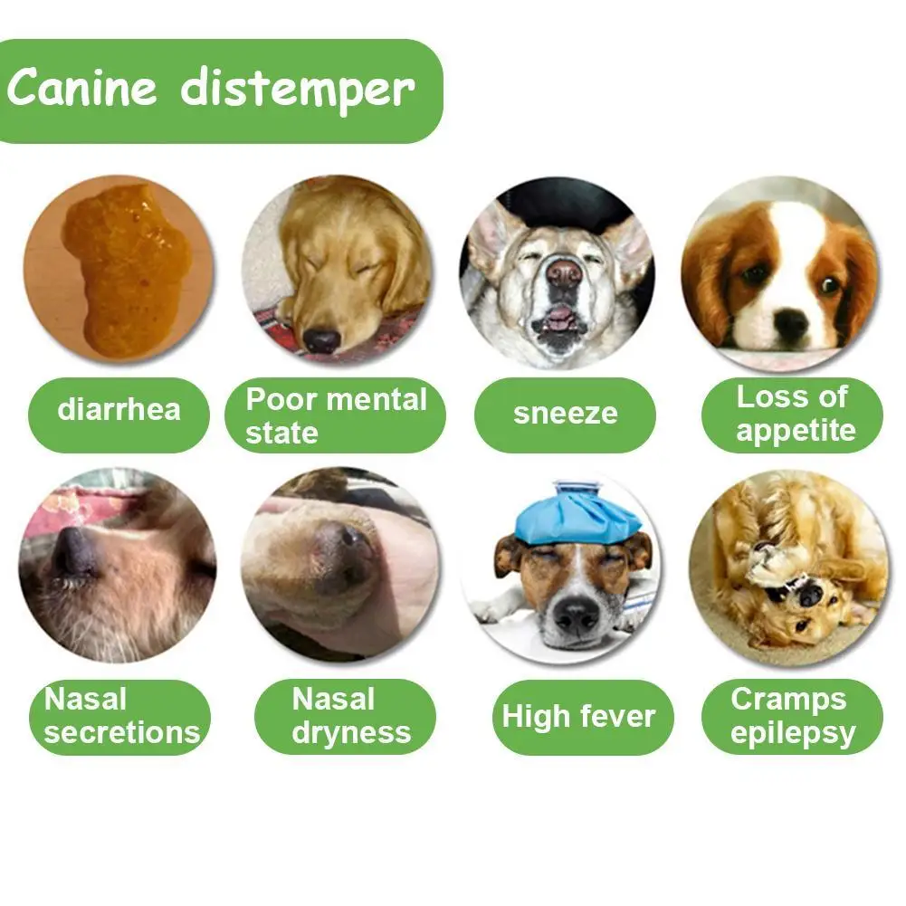 Papel de prueba para mascotas, equipo de detecci&oacute;n de salud para Distemper canino, tablero de detecci&oacute;n de plaga canina Cdv, para gato, perro-2