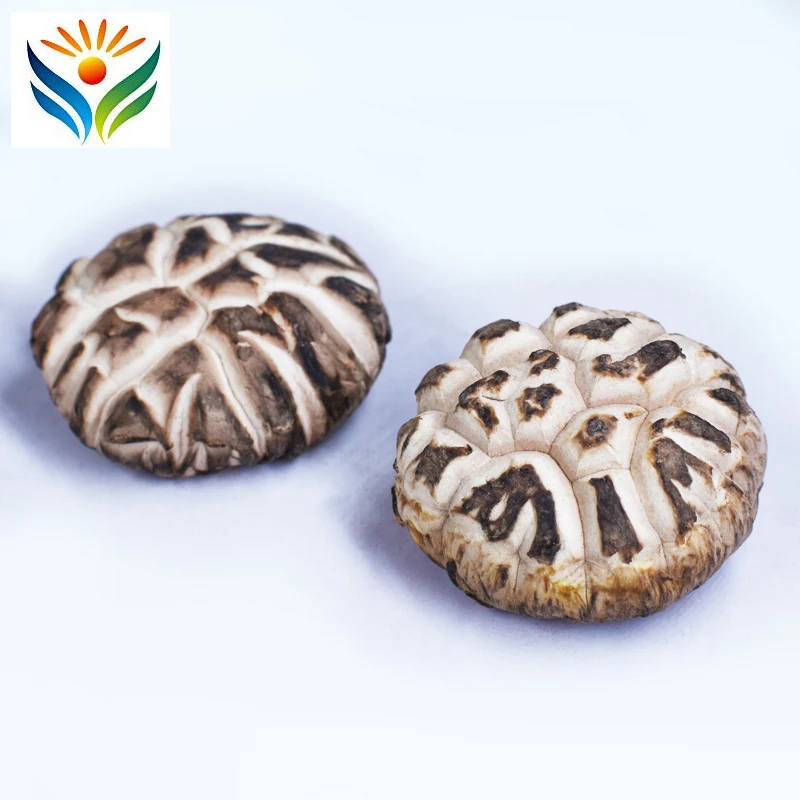 Органические сушеные грибы Shiitake| |