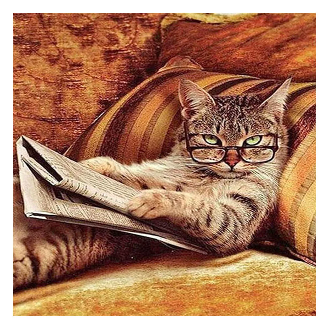 

5D алмазная живопись «сделай сам», кошка, газета для чтения, полная квадратная круглая Алмазная вышивка, мозаичные узоры, наборы для вышивки ...