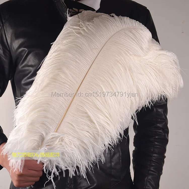 

Wholesale 100 Pcs/ Lot White Ostrich Feather 22-24inches / 55-60cm DIY Jewelry Decoration / Wedding Celebration Feathers
