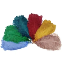 wholesale 10pcslot new colored ostrich feathers for crafts white big ostrich feather decor diy dream catcher wedding decoration