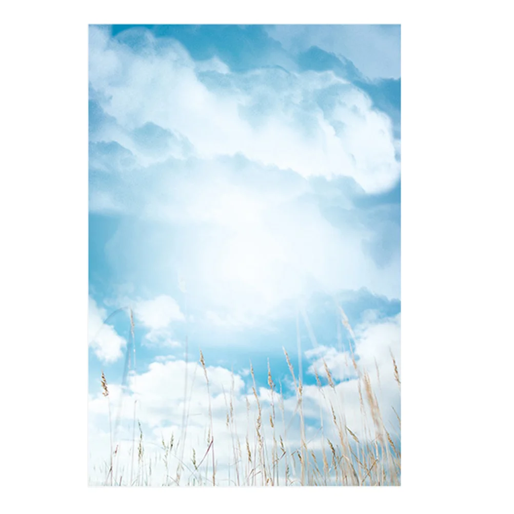 

1 шт. голубое небо белое облако фон для фотосъемки реквизит красивый стенд реквизит