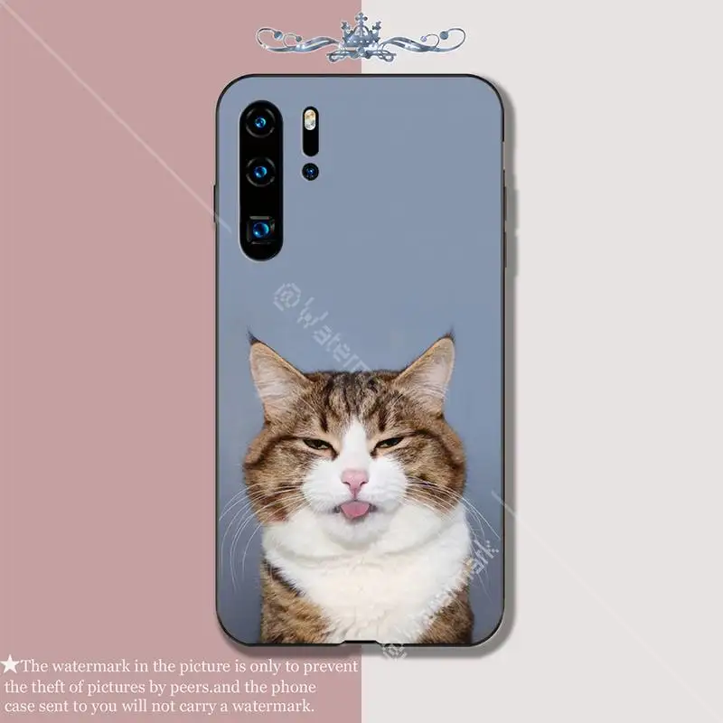 Забавный выражение кошка Роскошный чехол для мобильного телефона Huawei P 20 30 40 Lite Pro