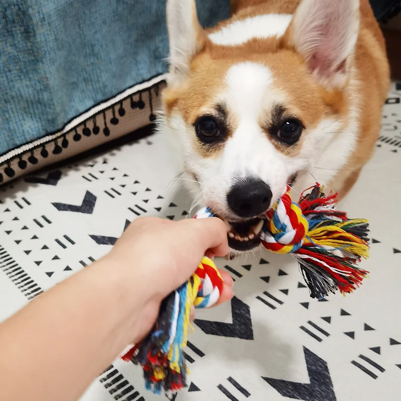 

1 Pcs Dog Bite Rope Toys Pets Dogs Supplies Puppy Cotton Chew Knot Toy Durable Braided 4 Sizes Bone Rope Funny Tool Random Color
