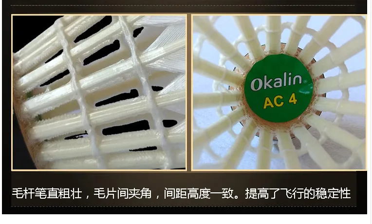 9 Tubes Same Quality as RSLNO.3 Badminton Shuttlecock AC4 A Duck Feather High for Club Shuttle Ball L2120-9SPA |