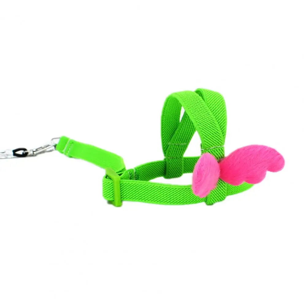 

Flexible Parrot Harness Leash Outdoor Training Traction Rope with Angel Wing