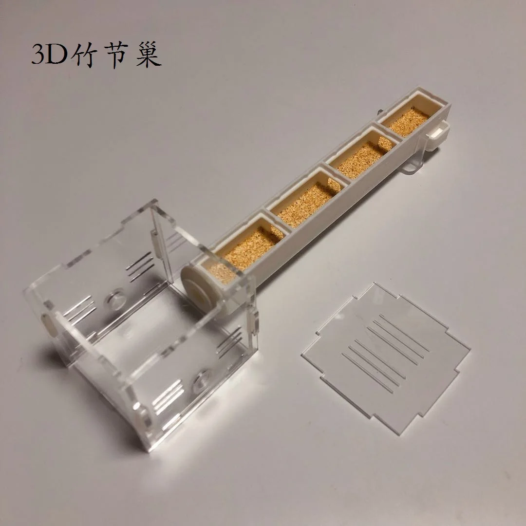 1 шт. муравьи вилла бамбуковое гнездо ландшафтное трубчатое замок домашние