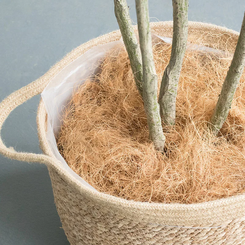 Кокосовое волокно шелухи орхидеи украшение для домашних животных защита от