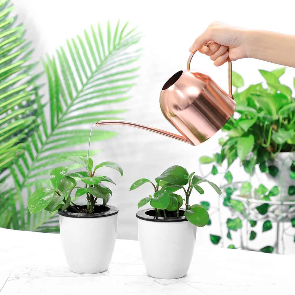 

1 Pc Watering Can 1000ml Corrosion Resistance Watering Pot Gardening Tool for Succulents House Plants