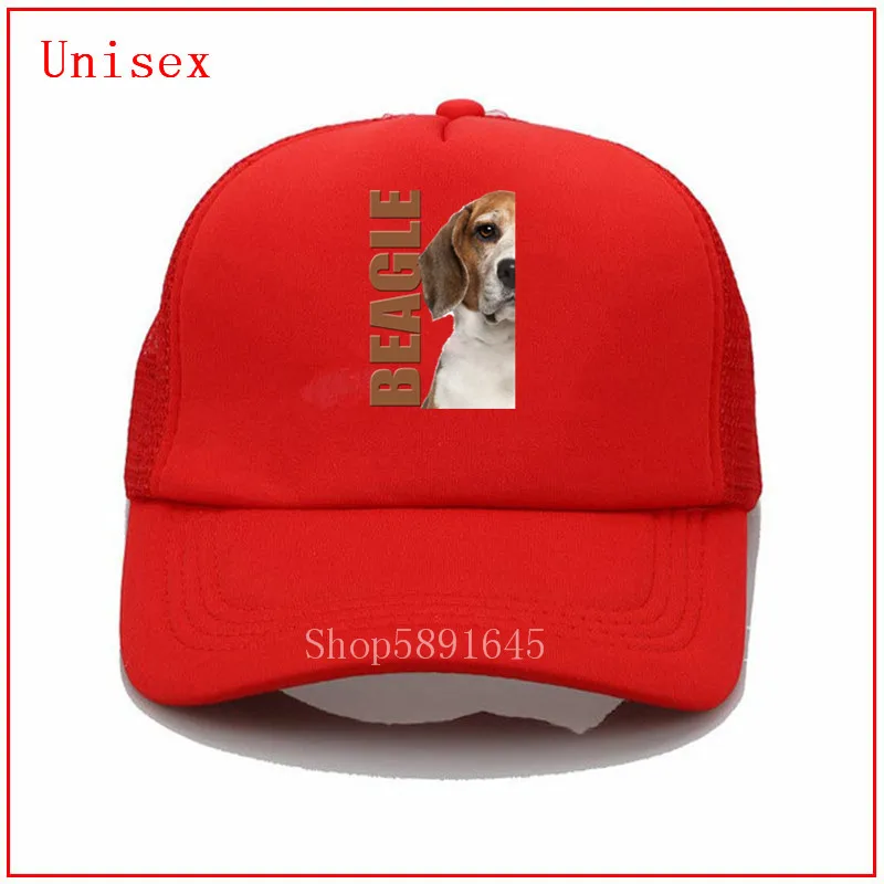 Шляпа Beagle Мужская/женская Соломенная солнцезащитный козырек от солнца чёрная