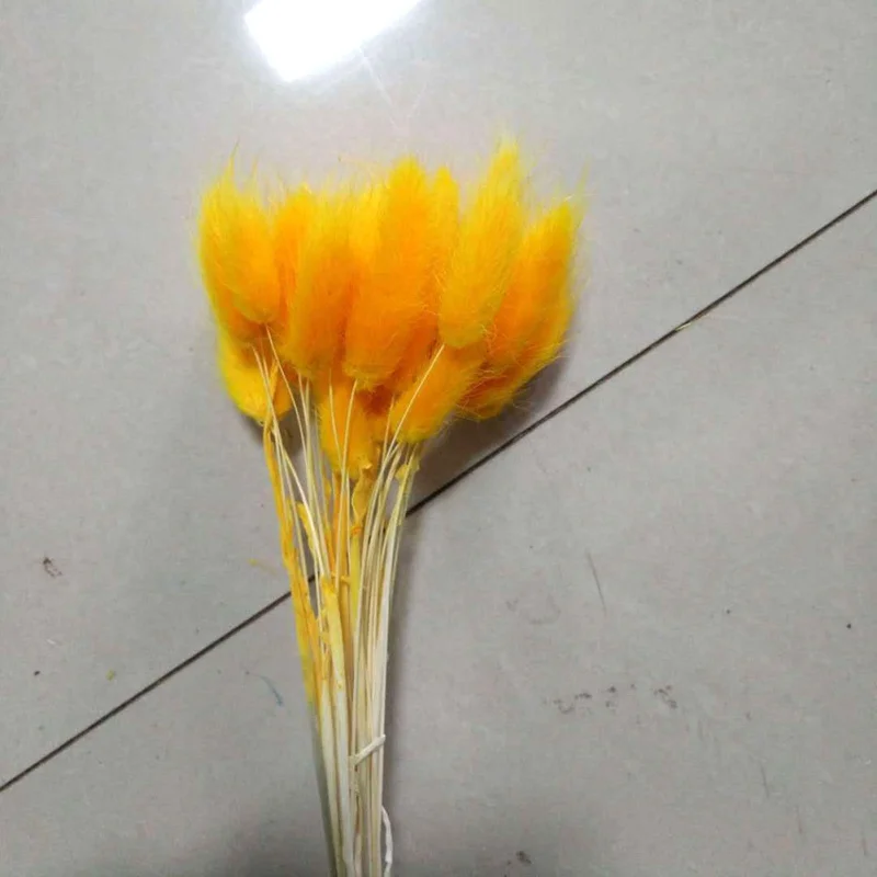 OA0540J 30Pcs/lot Natural Dried Flower Colorful Lagurus Ovatus Real Flower Bouquet for Home Wedding Decoration Rabbit Tail Grass Bunches - Цвет: OA0540J