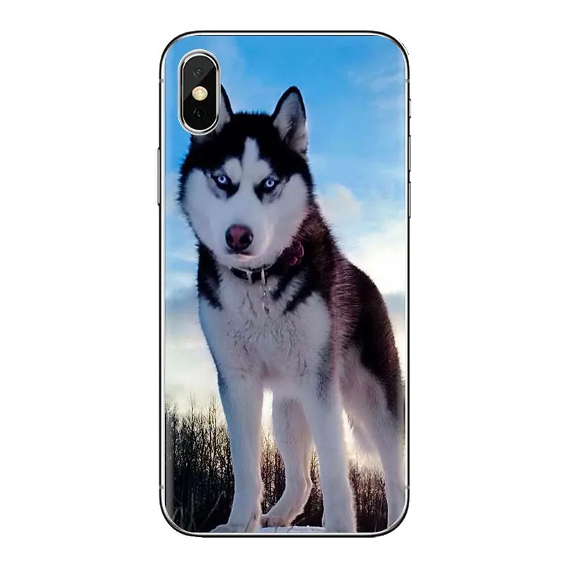 С изображением щенков Сибирского Хаски узор прозрачный мешок TPU чехол для Xiaomi Redmi
