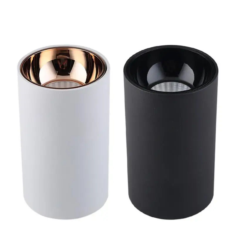 

Dimmable LED Downlight 5W 7W 10W 12W 15W 20W Non-opening LED Spotlight Decorative Ceiling Light AC110-220V LED ceiling lamp